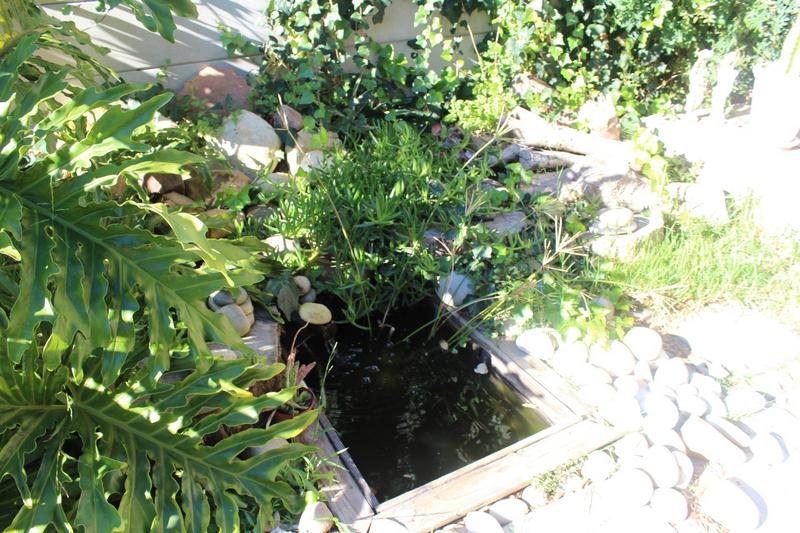 To Let 2 Bedroom Property for Rent in Woodstock Western Cape